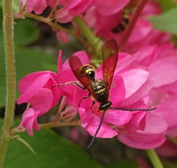 DSC07901a